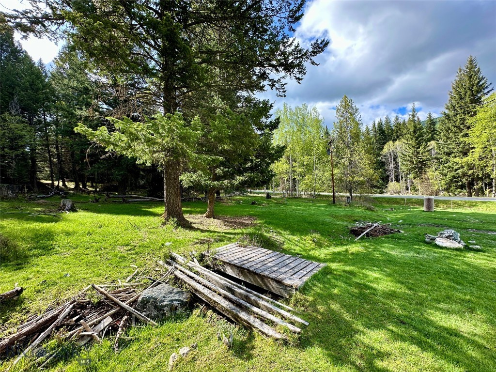 11687 Pinkham Creek