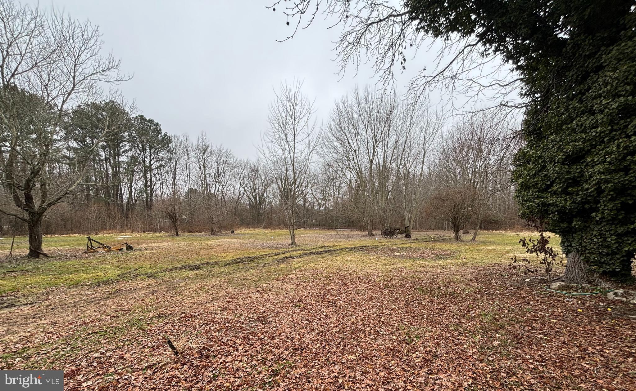 22464 HILLSBORO ROAD