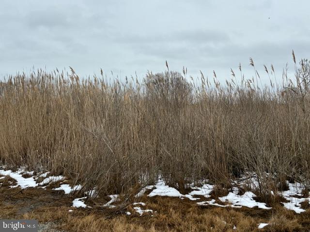 ELLIOTT ISLAND ROAD