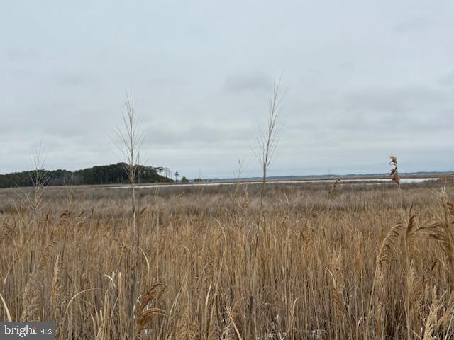 ELLIOTT ISLAND ROAD
