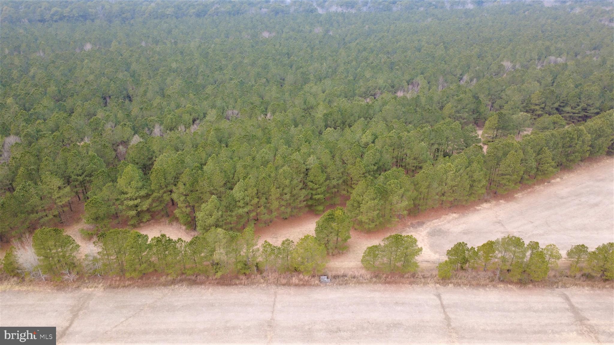 1829 BRANNOCKS NECK ROAD