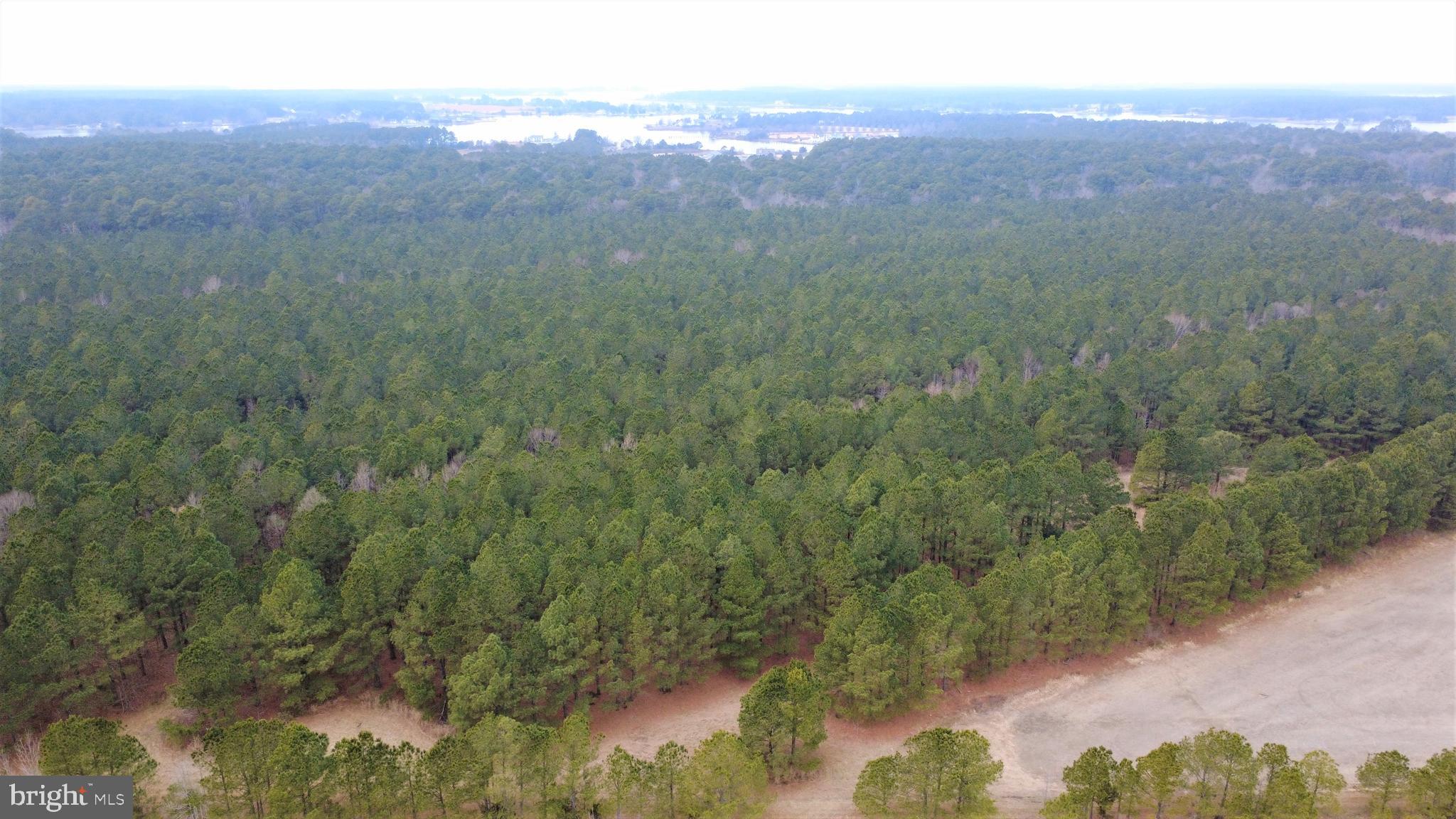 1829 BRANNOCKS NECK ROAD