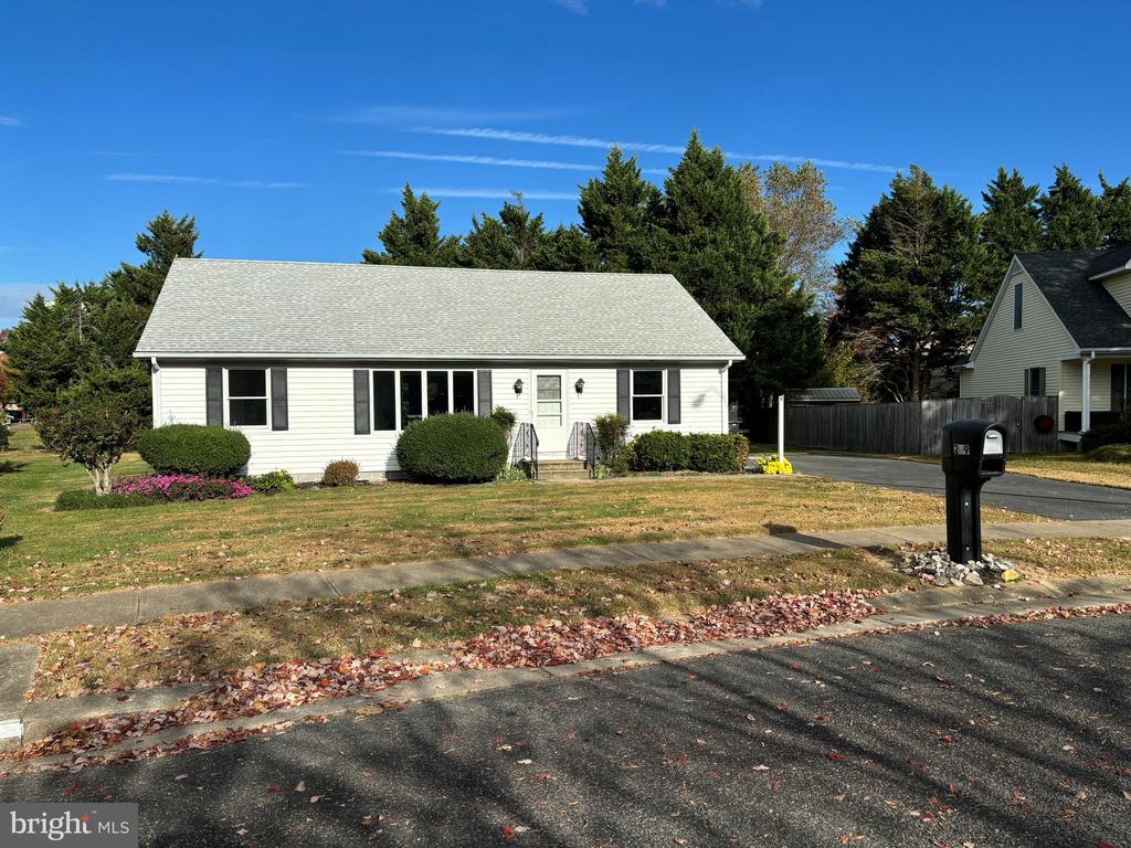 209 SPRING DRIVE