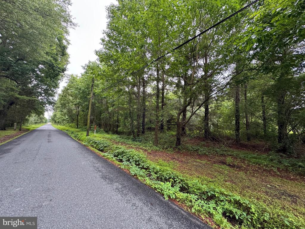 CHANCELLOR POINT ROAD