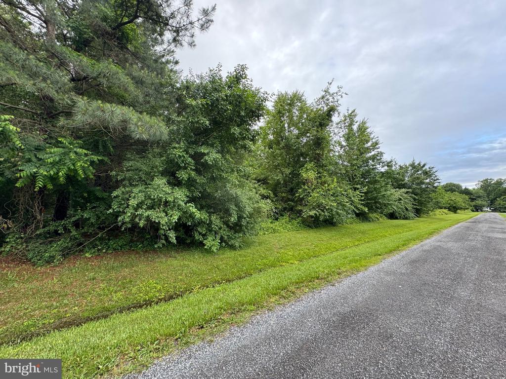 CHANCELLOR POINT ROAD