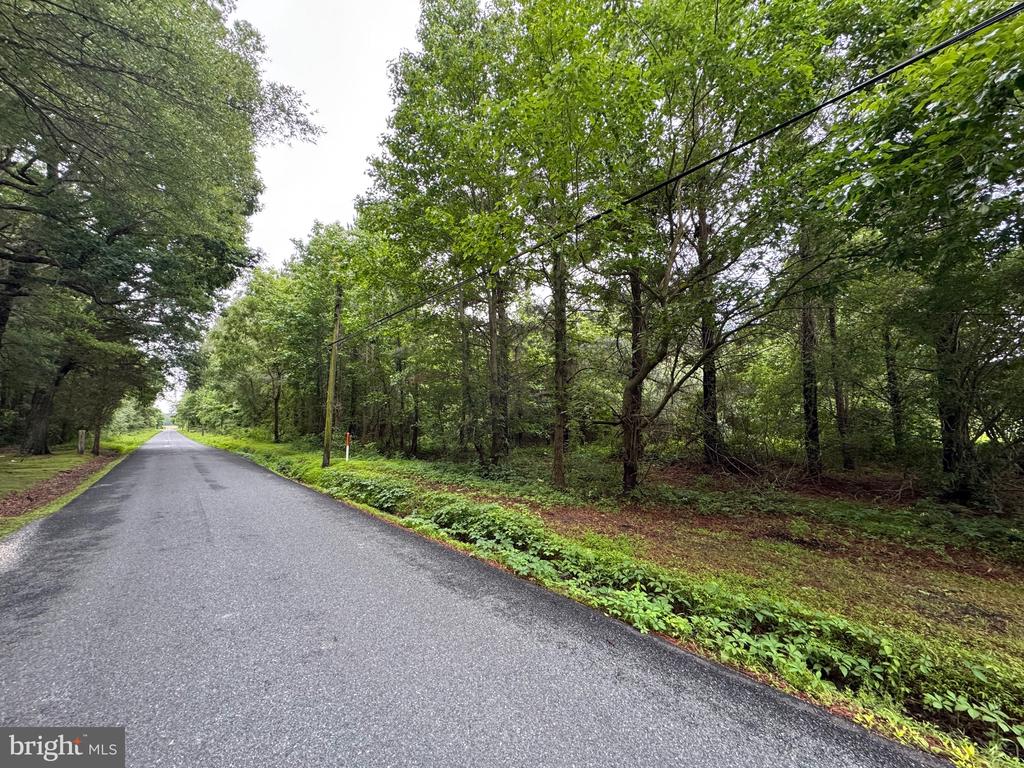 CHANCELLOR POINT ROAD