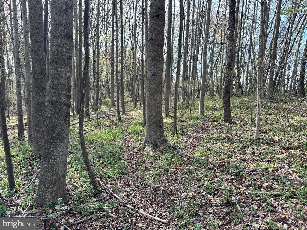 3750-B WINDY HILL ROAD