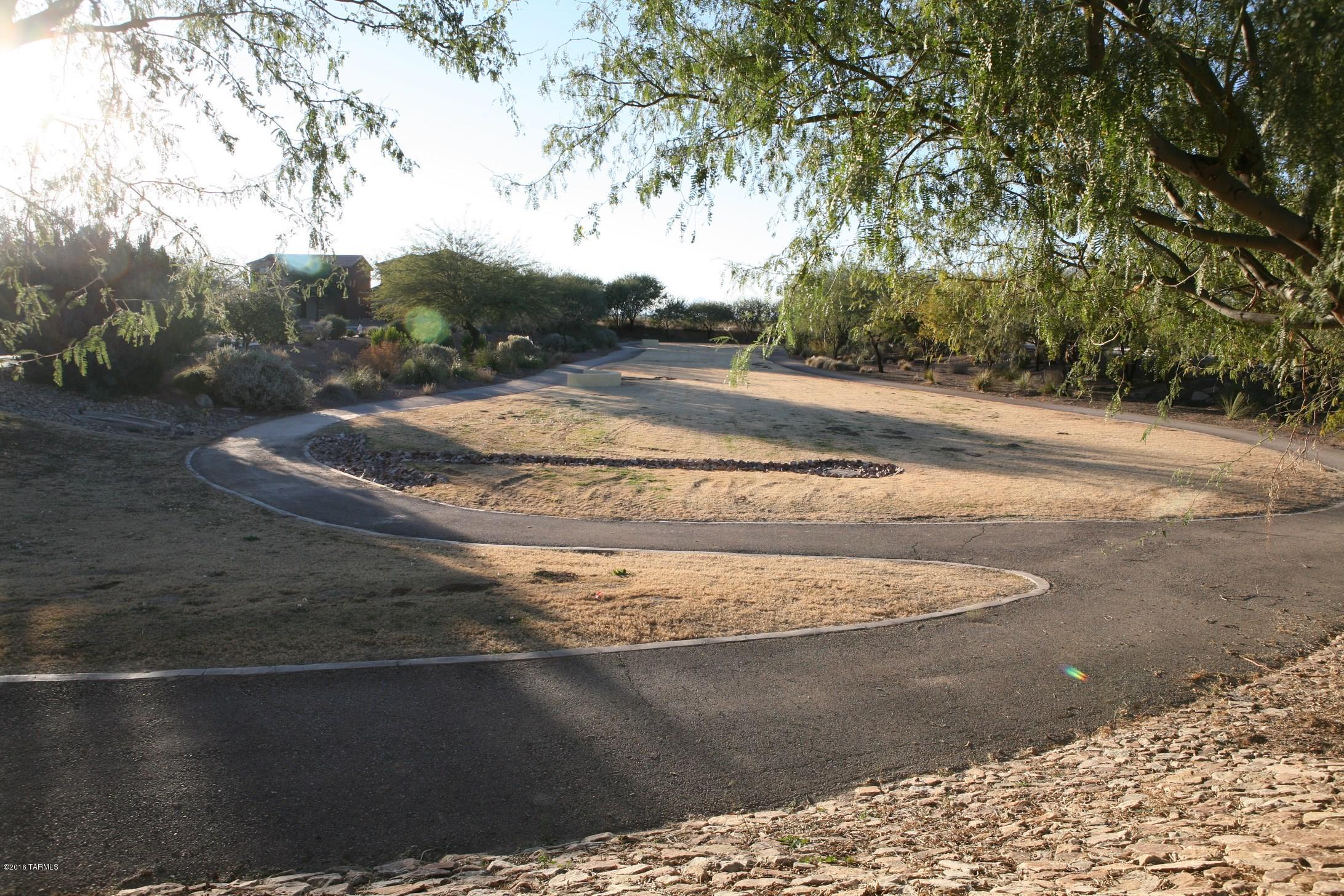 12989 N Lea Maw Drive