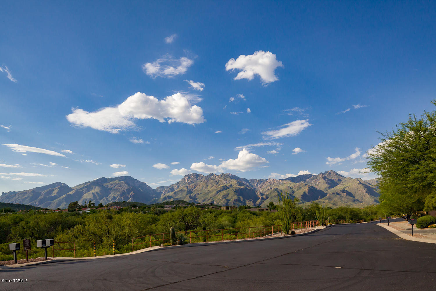 4521 N Scenic Mountain Drive