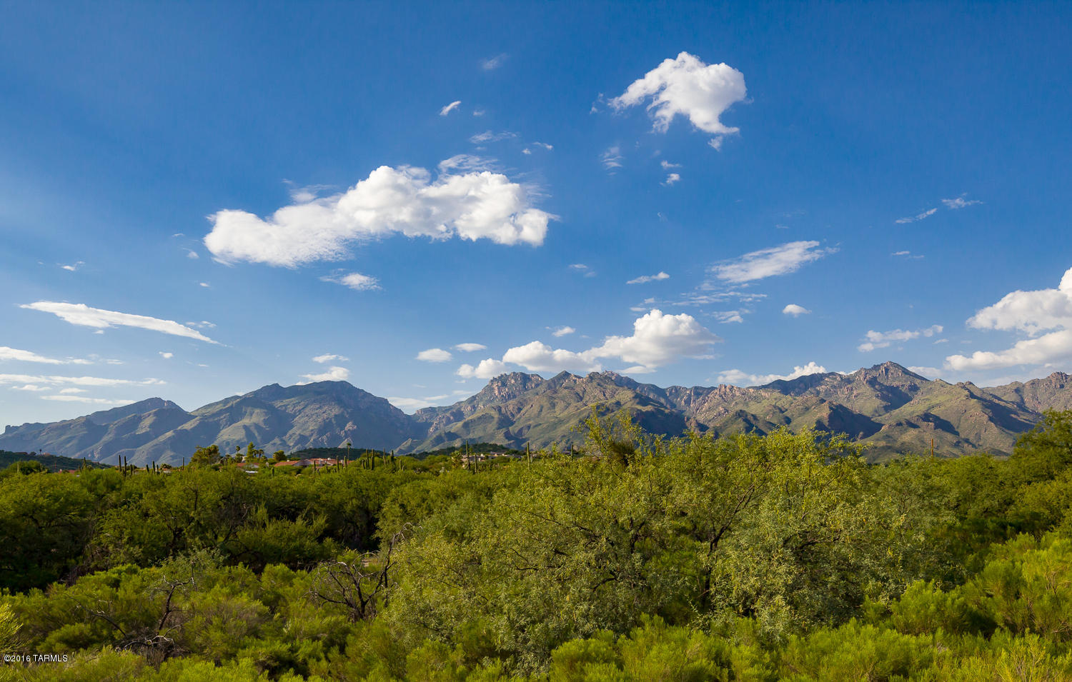 4521 N Scenic Mountain Drive