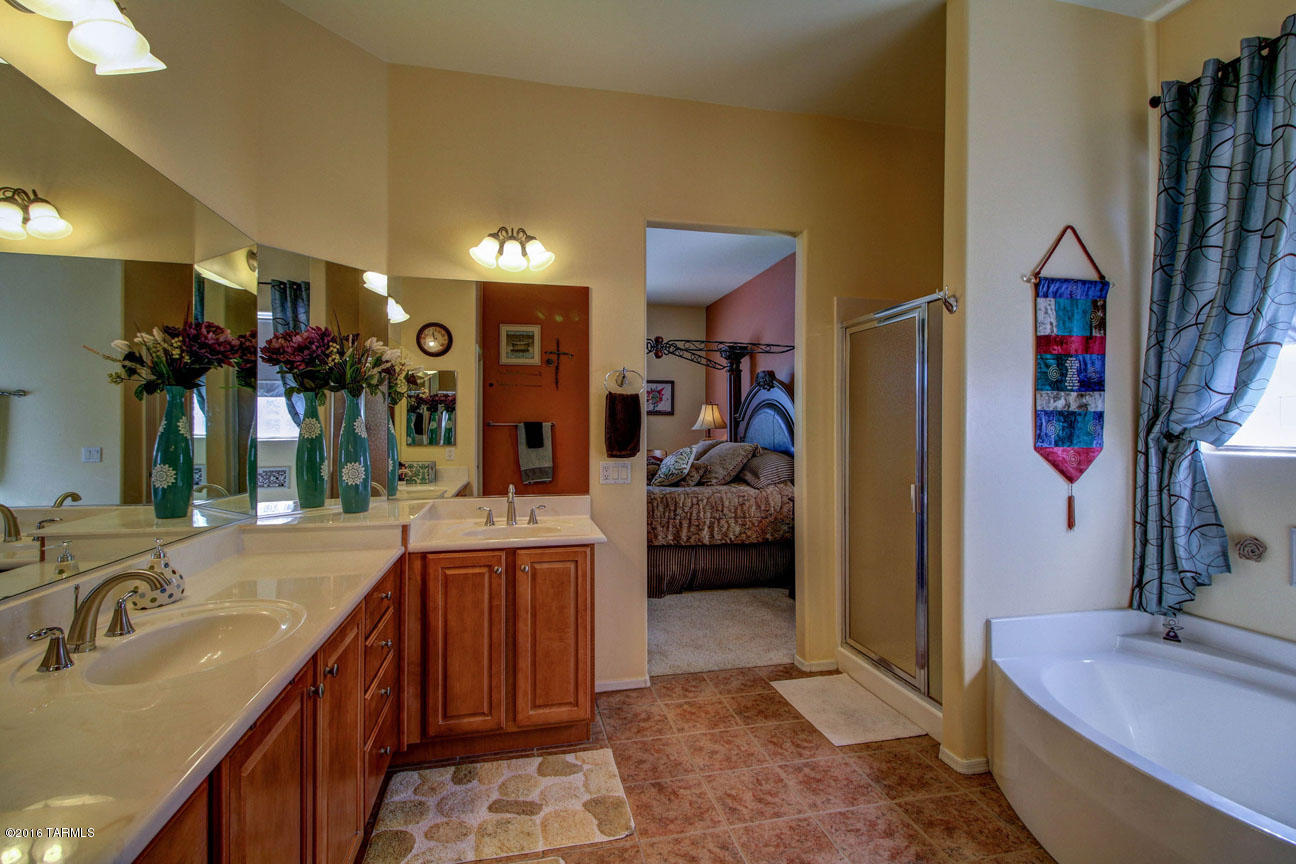 12332 N Lost Shadow Court