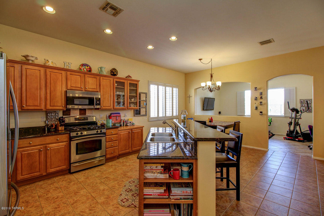 12332 N Lost Shadow Court