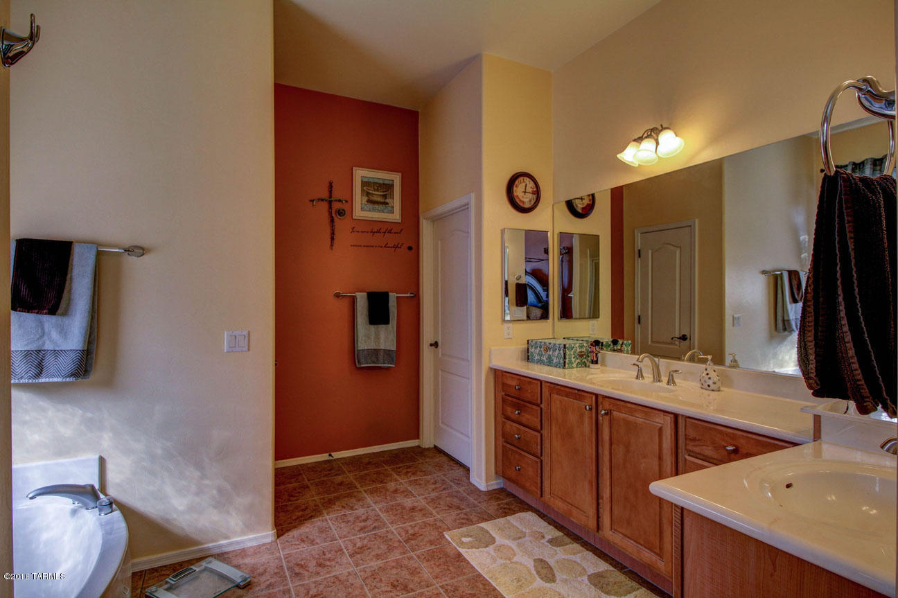 12332 N Lost Shadow Court