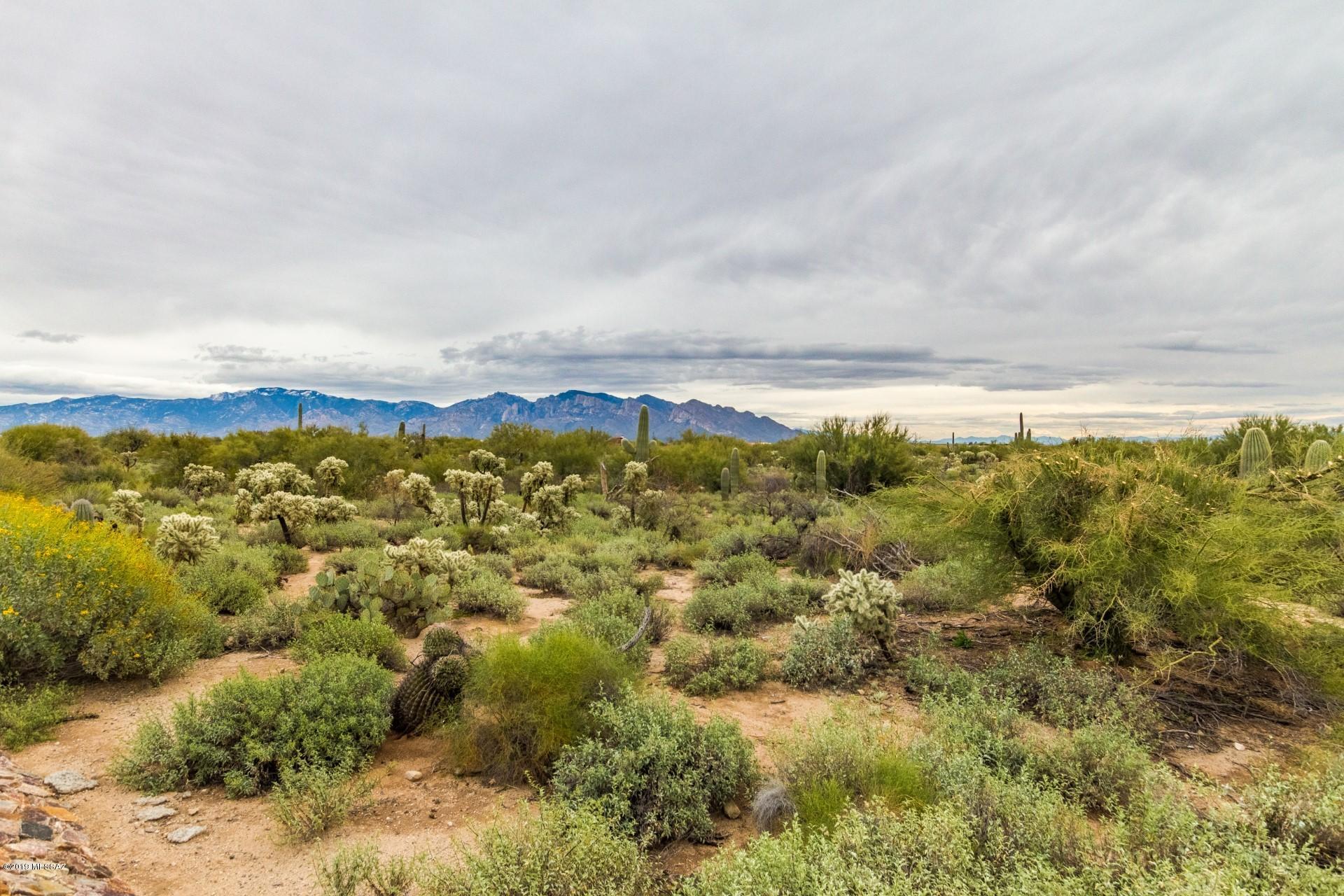 4341 W Golden Ranch Place