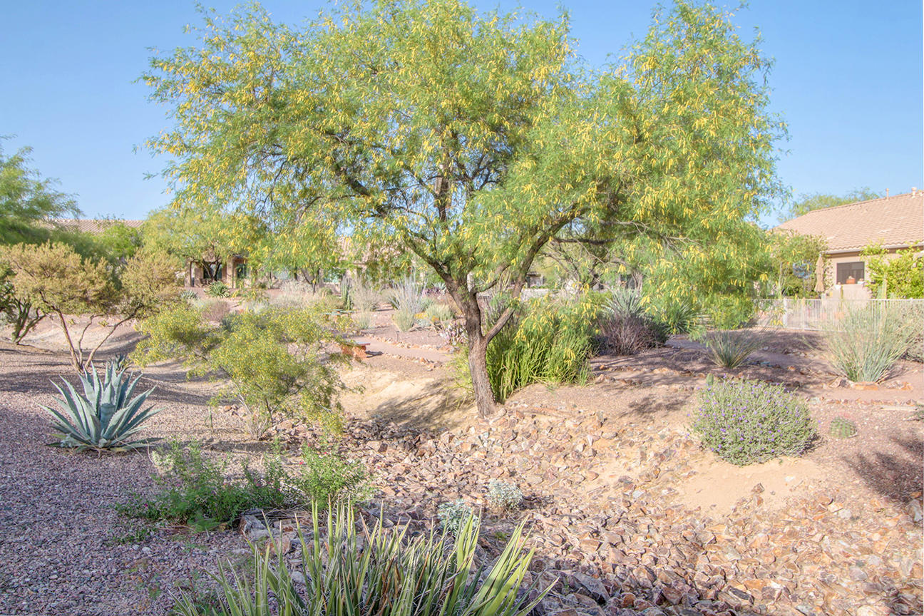13401 N Rancho Vistoso Boulevard Unit: 128