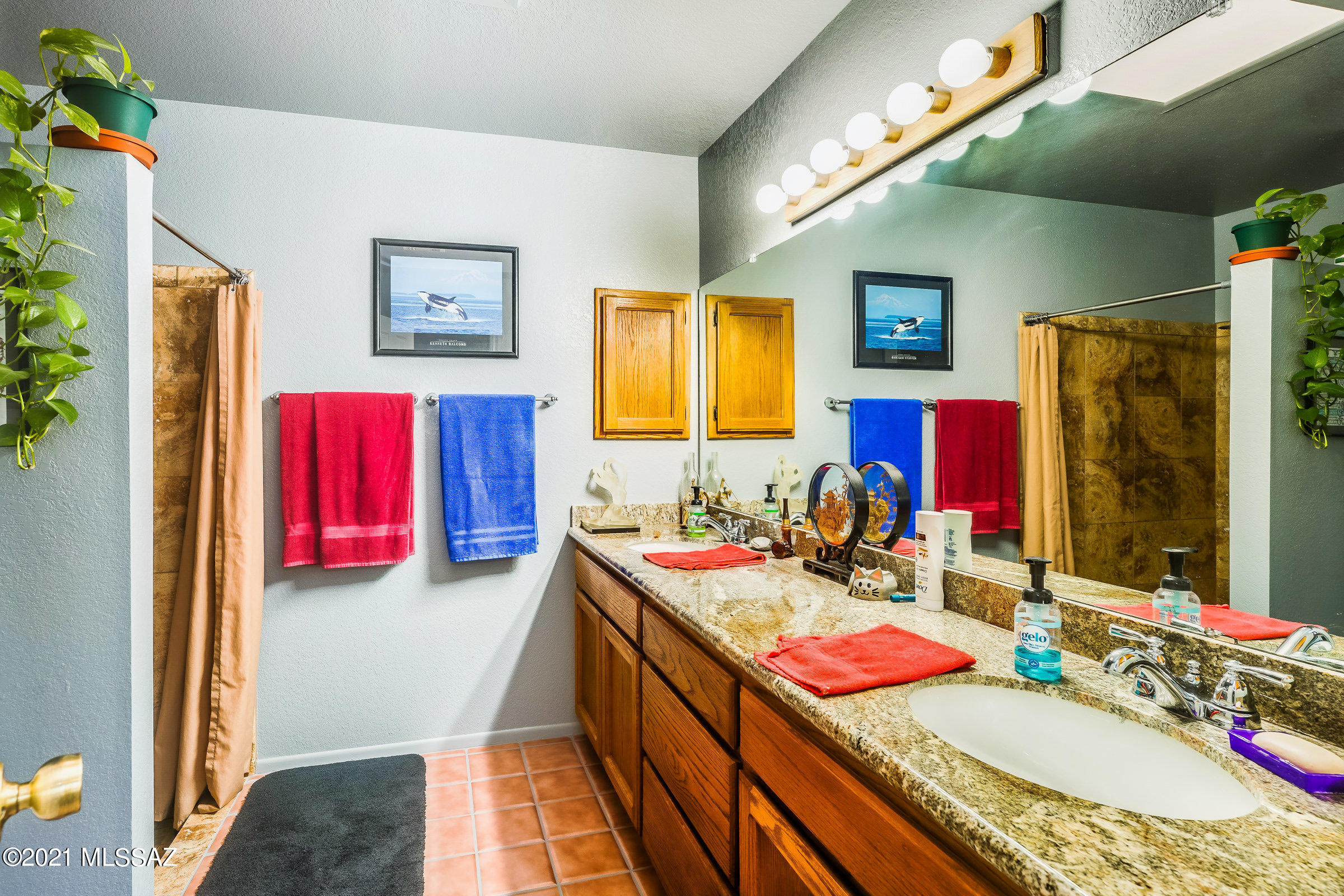 5350 W Calle Montuoso
