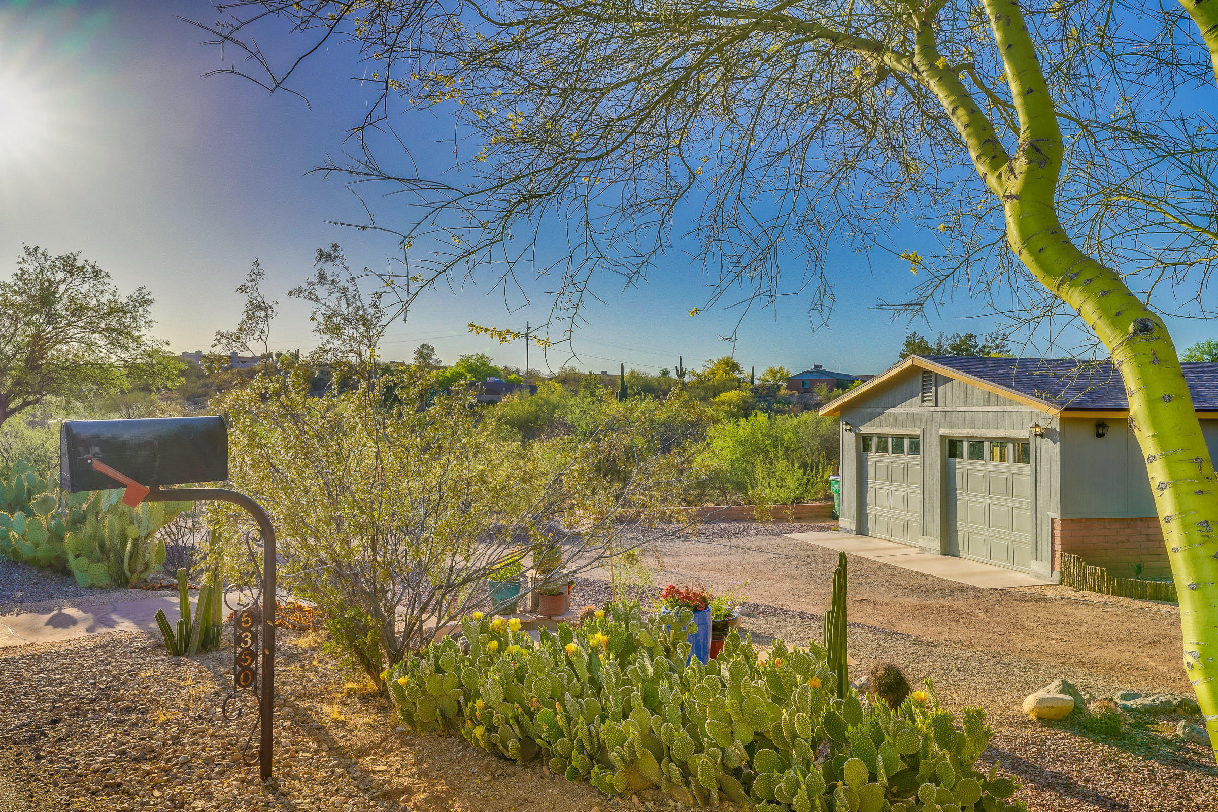 5350 W Calle Montuoso