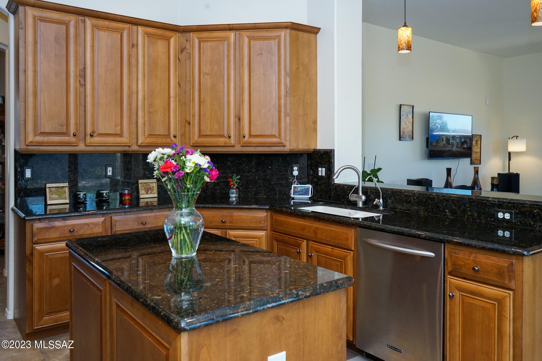 1609 Native Stone Place