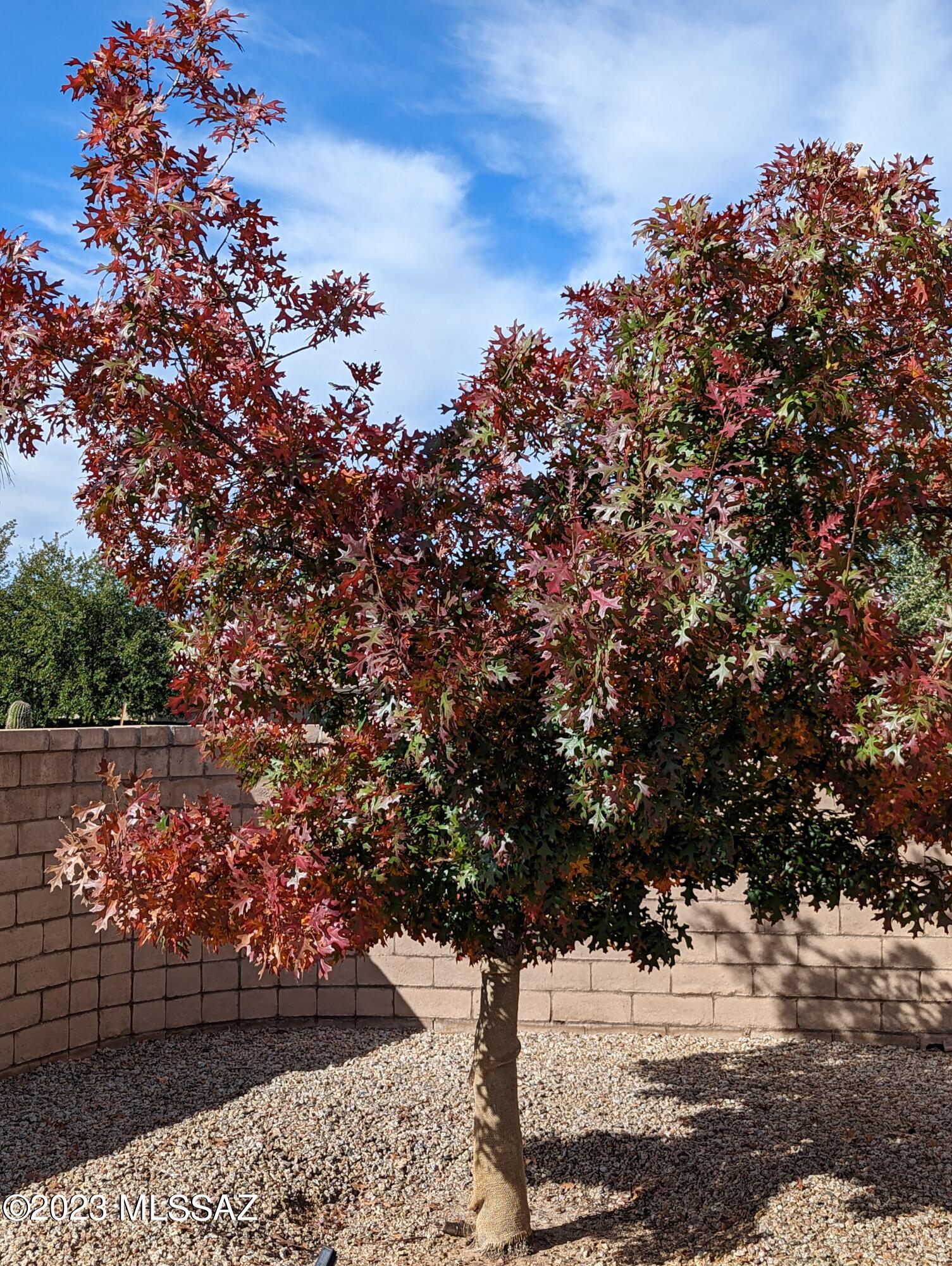 1609 Native Stone Place