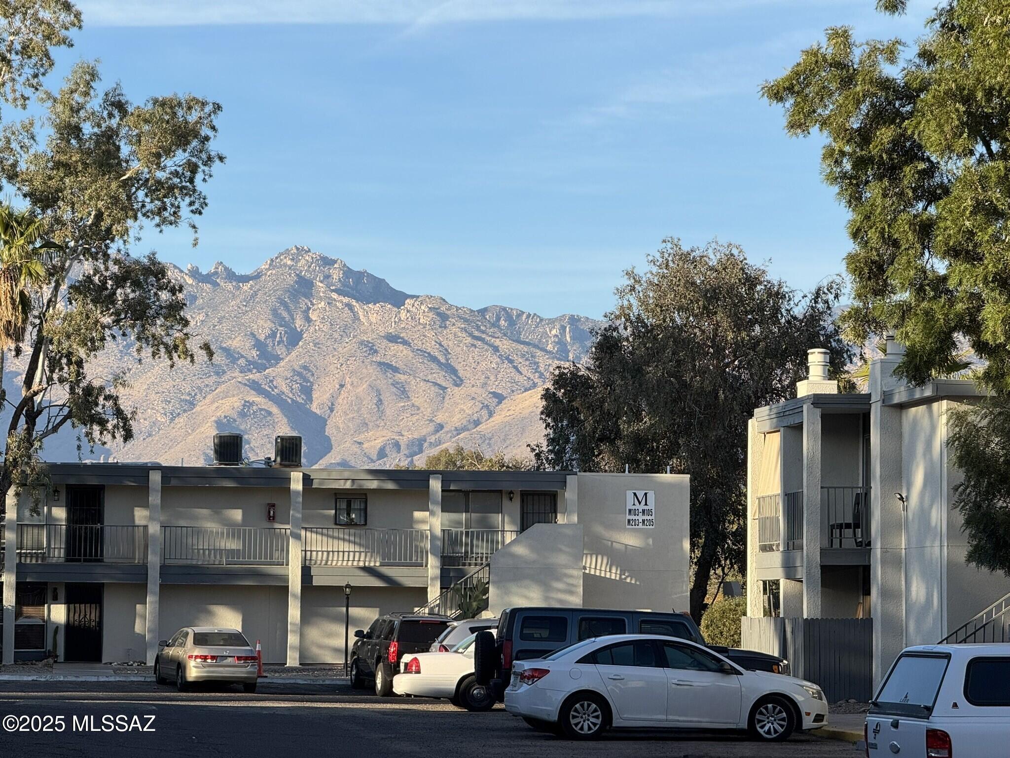 1620 N Wilmot Road Unit: UNIT S340