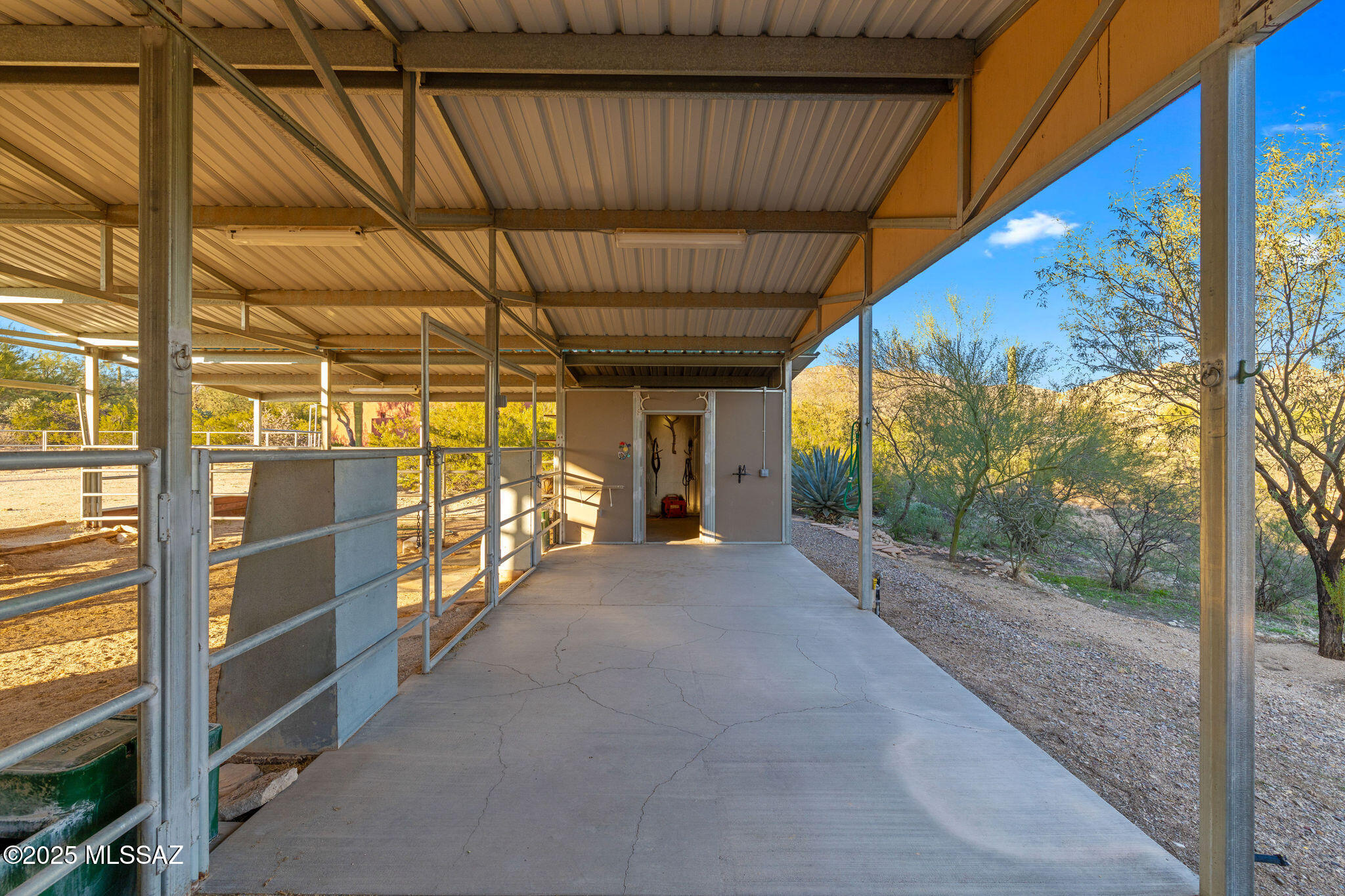 2315 N Avenida Sorgo