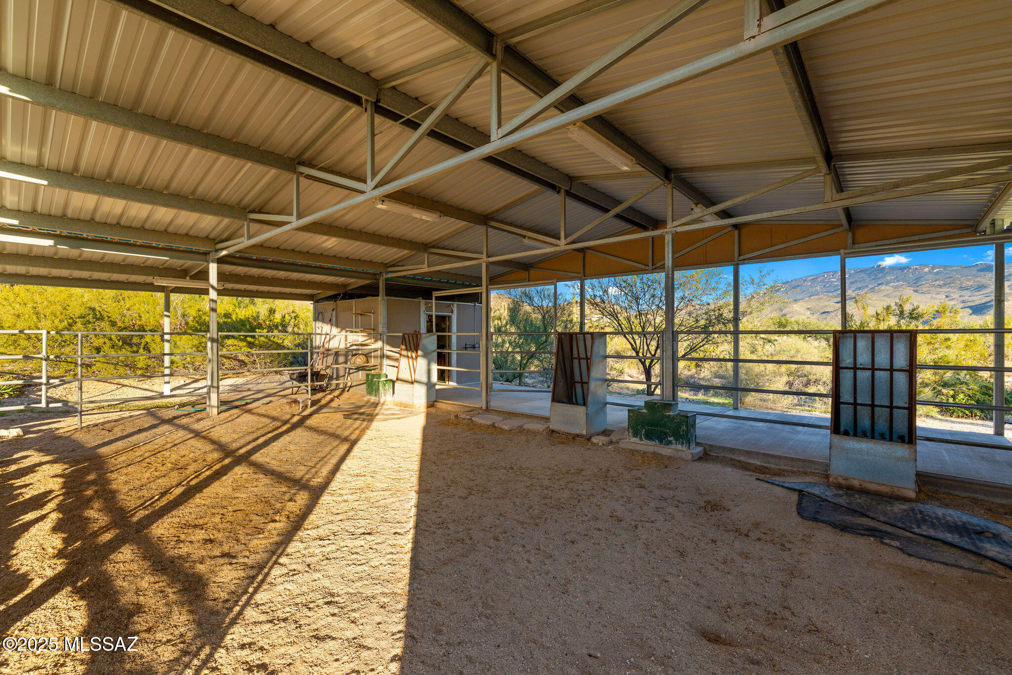 2315 N Avenida Sorgo