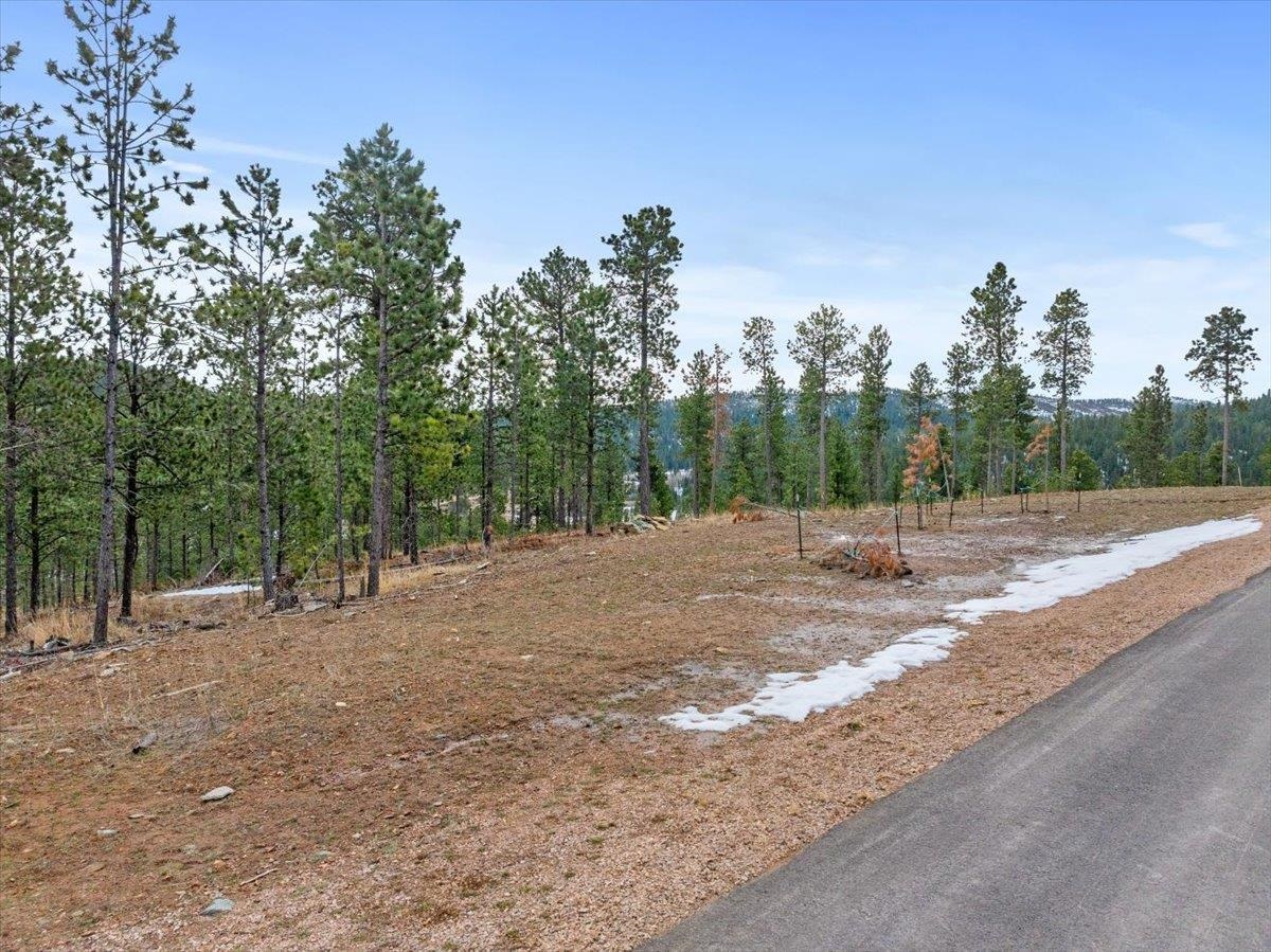 Lot 10 Meadow Wood Way