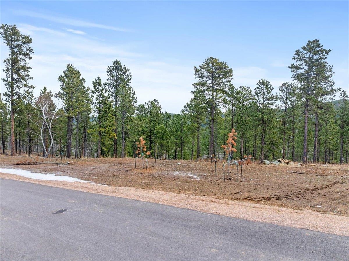 Lot 10 Meadow Wood Way