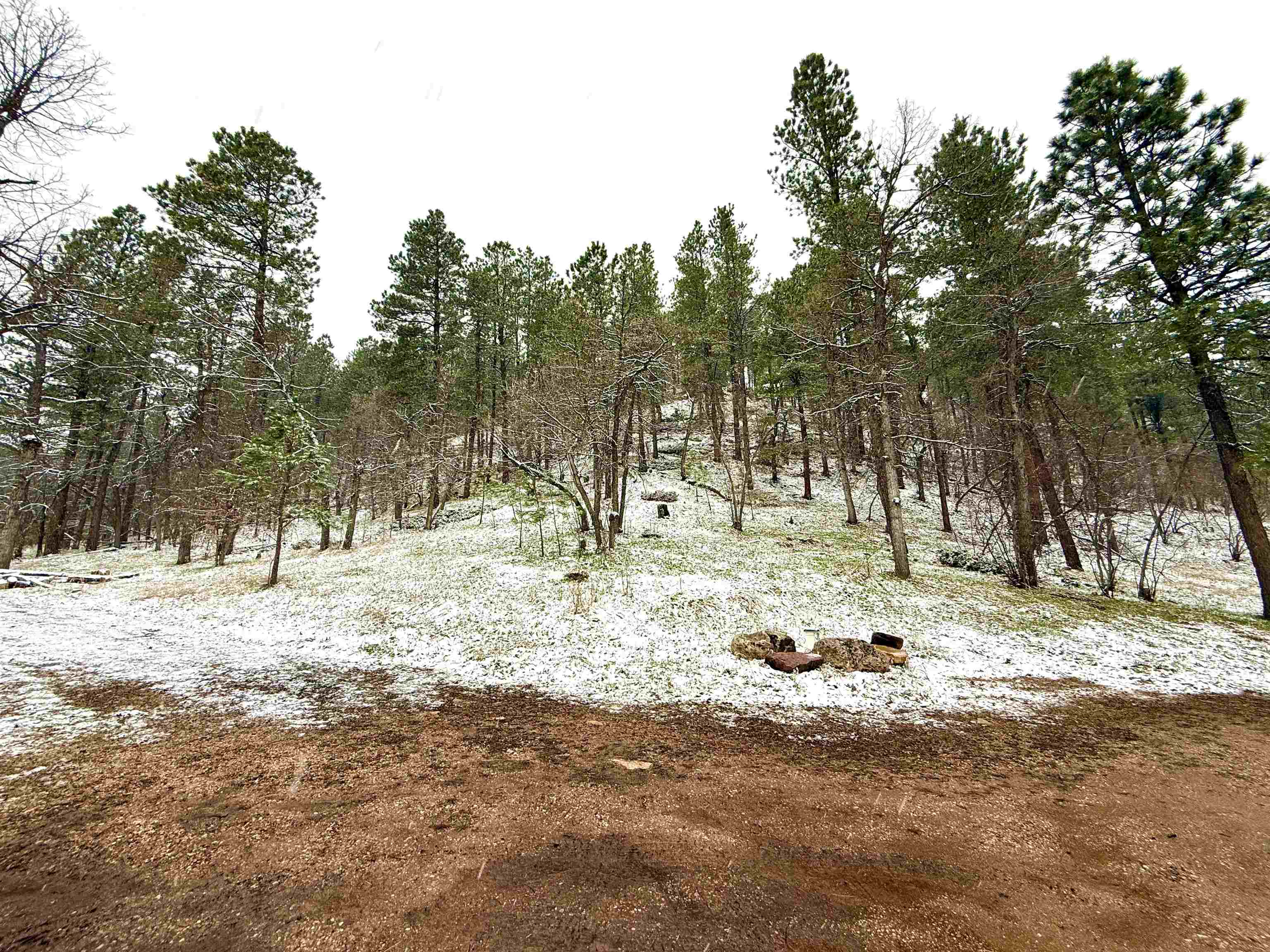 20097 Higgins Gulch Road