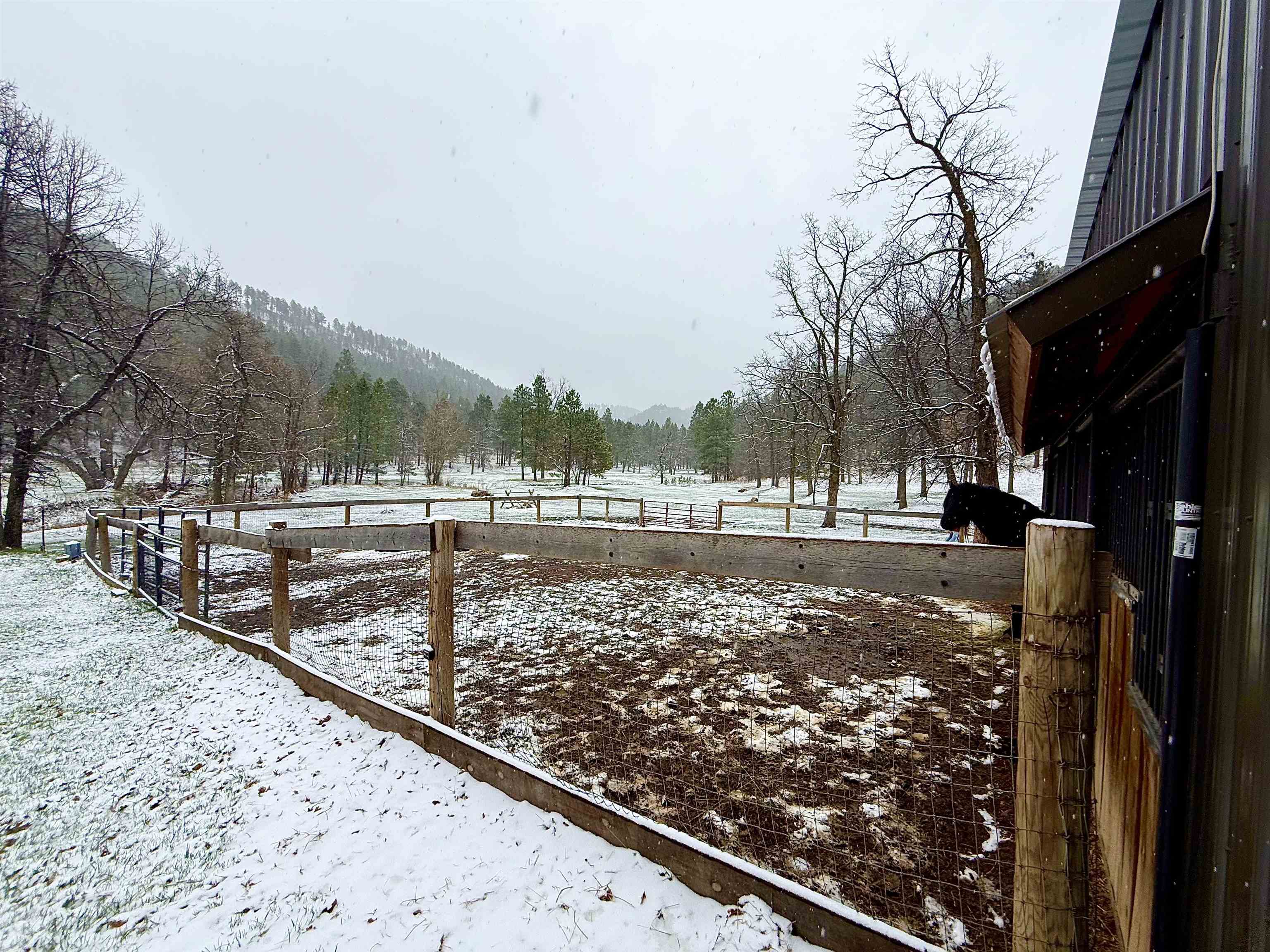 20097 Higgins Gulch Road