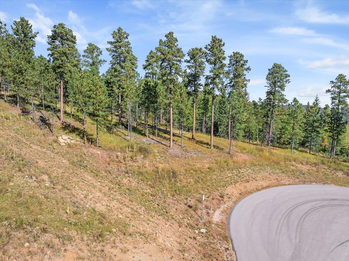 Lot 9 Meadow Wood Way