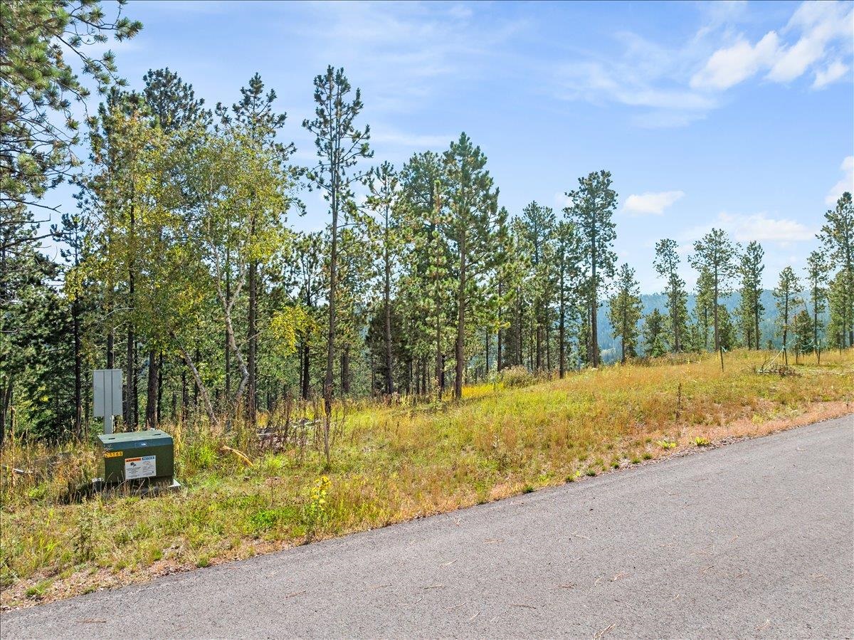 Lot 9 Meadow Wood Way