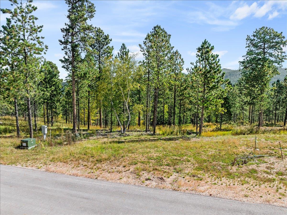 Lot 9 Meadow Wood Way