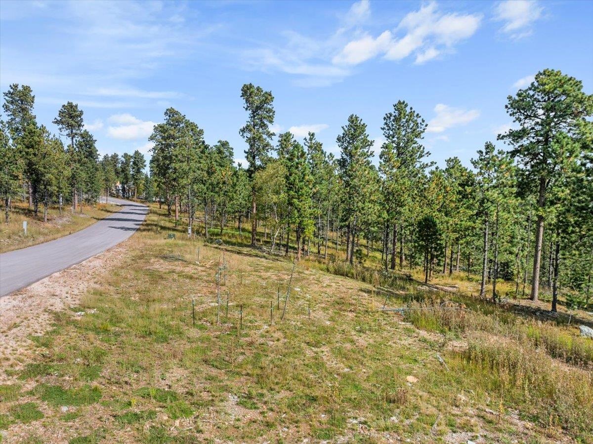 Lot 9 Meadow Wood Way