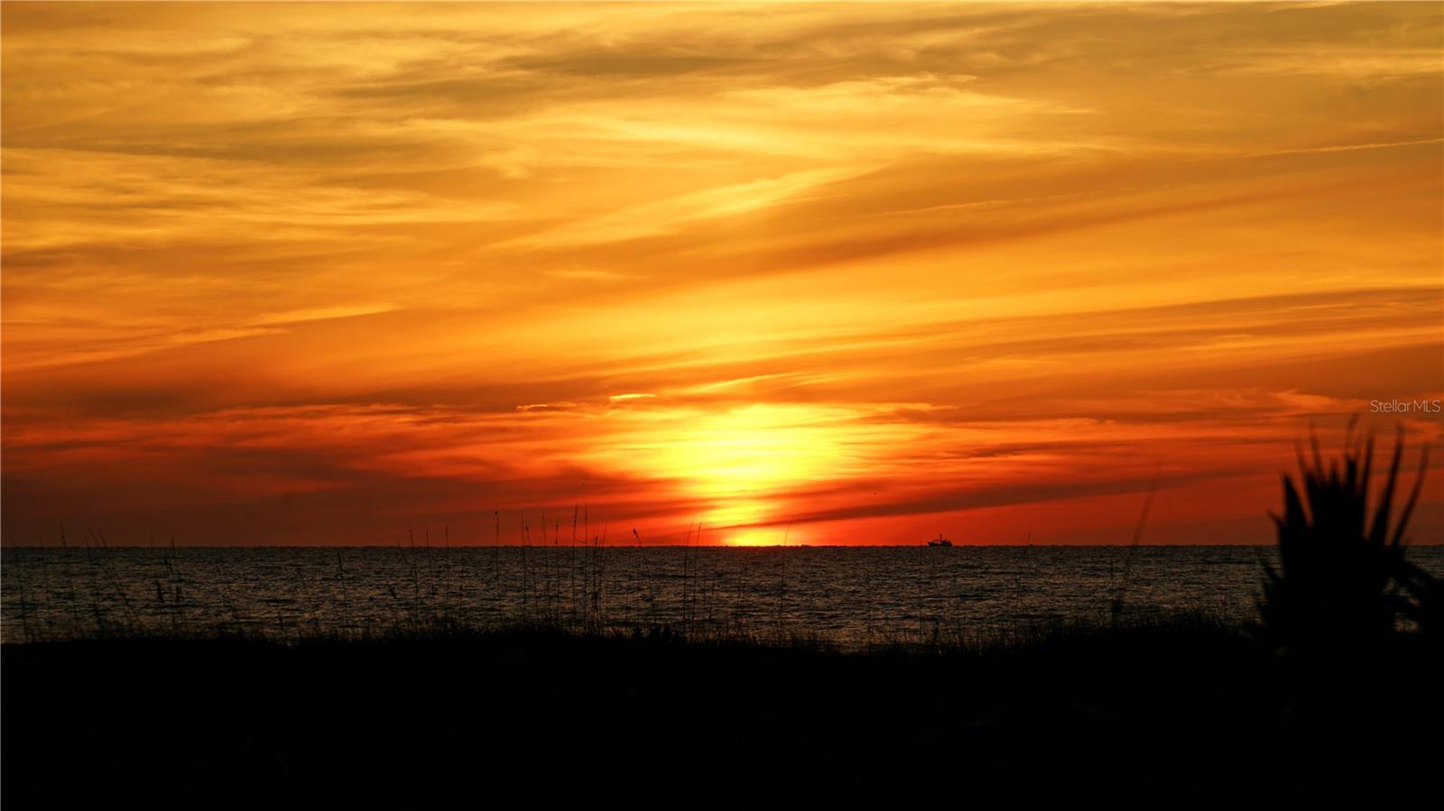 1001 BENJAMIN FRANKLIN DR #503