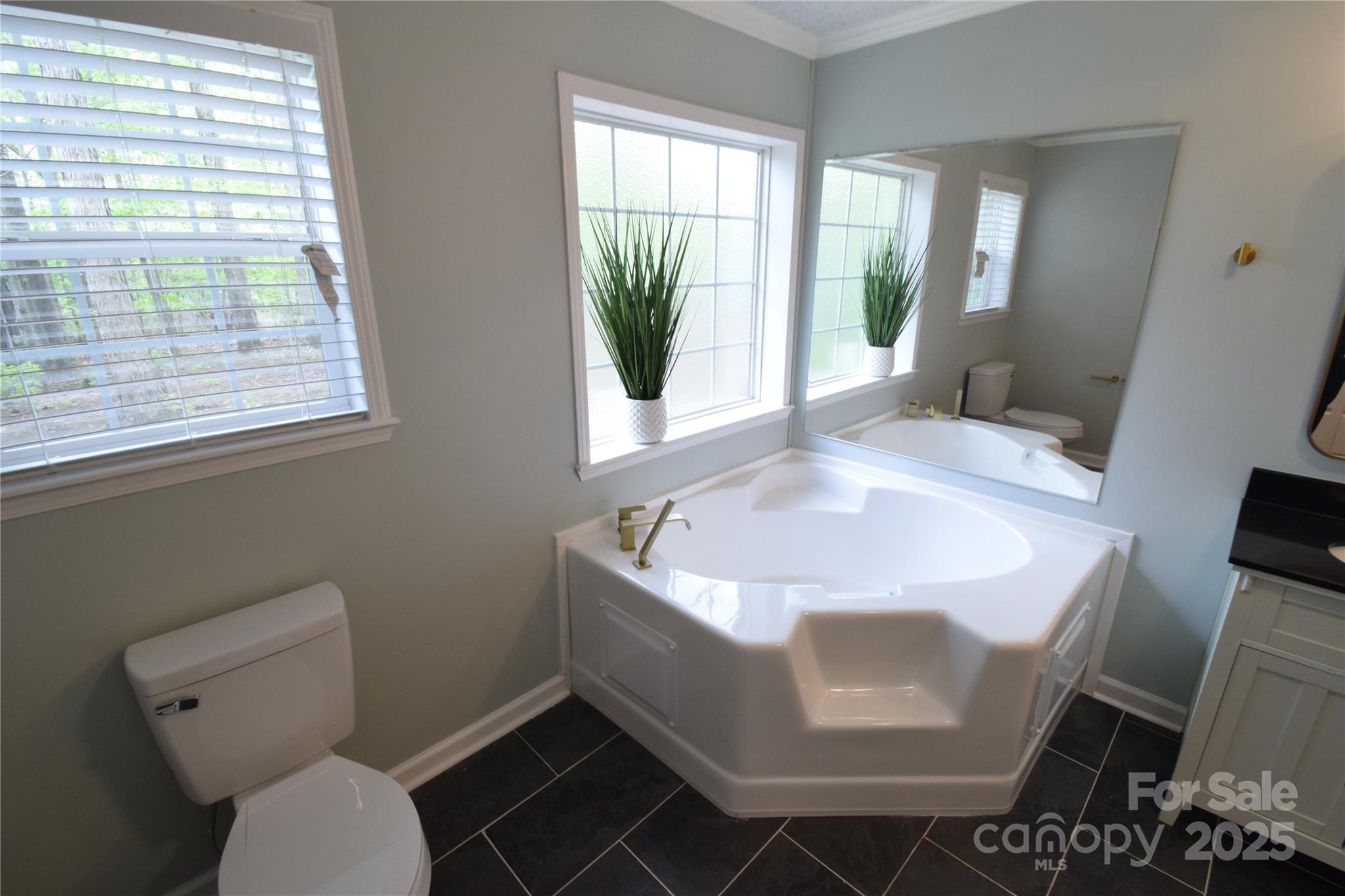121 Silver Fox Court