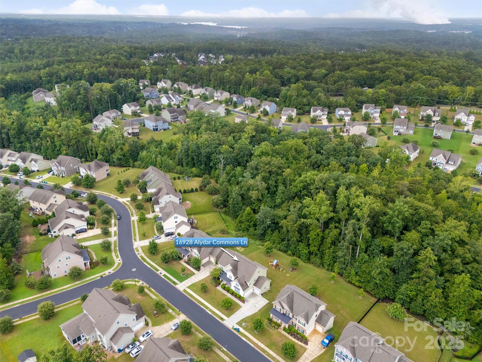 16928 Alydar Commons Lane