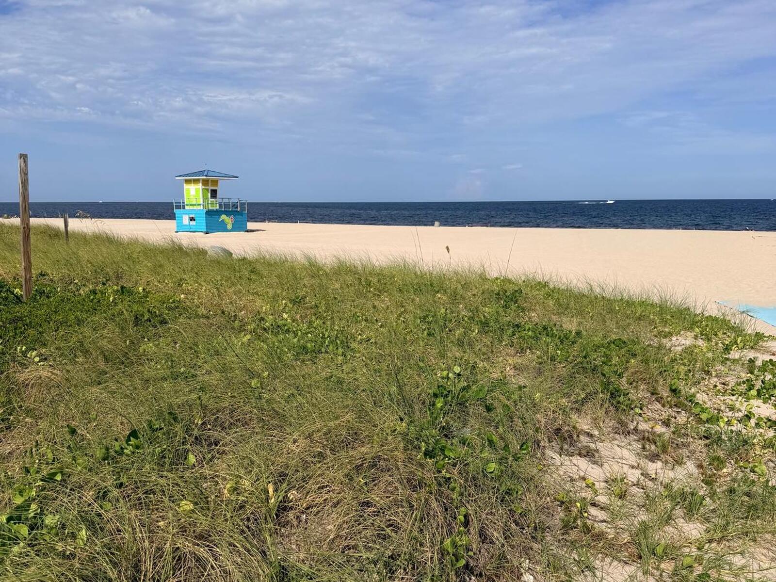 305 N POMPANO BEACH Boulevard Unit: 804
