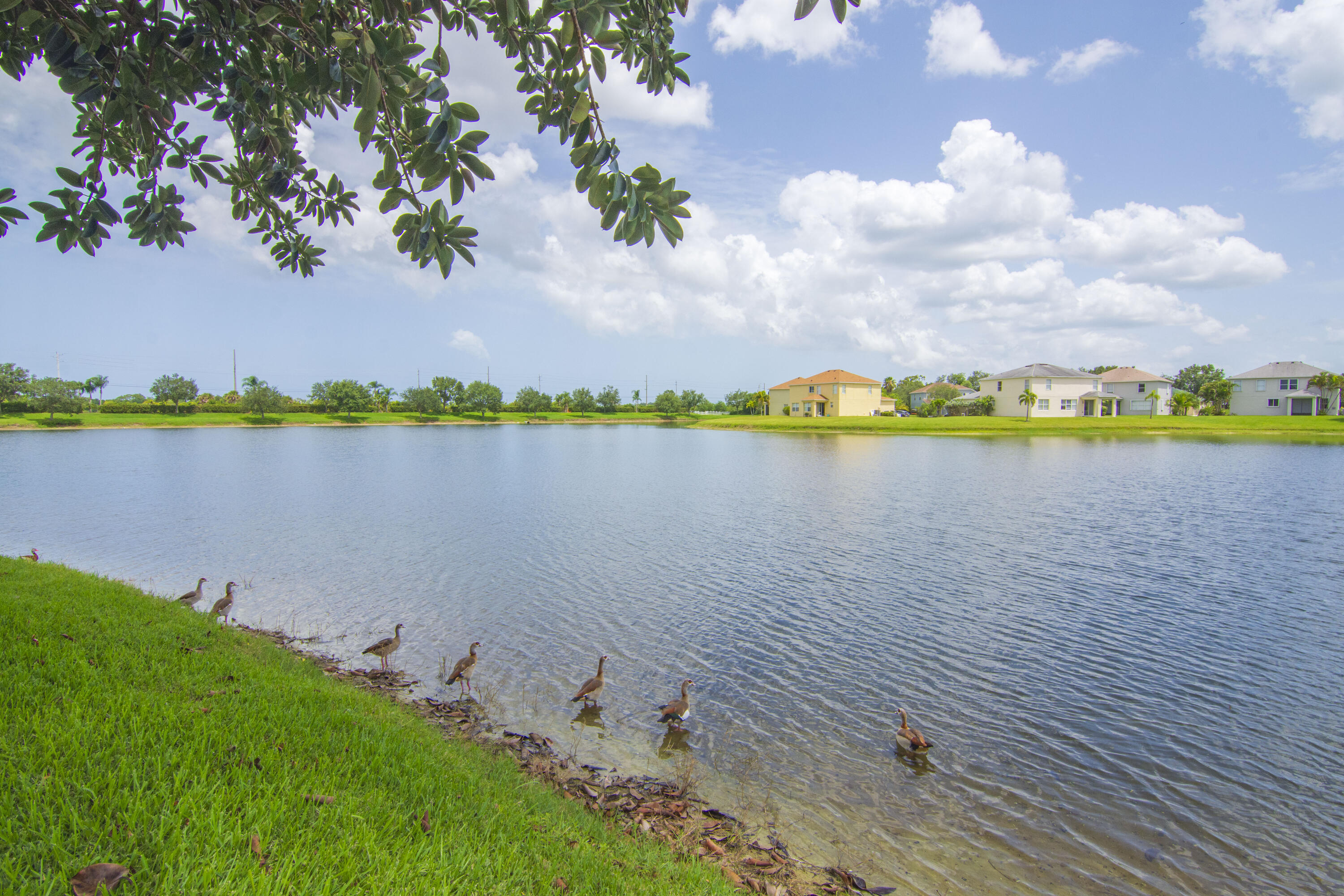 758 Carriage Lake Way