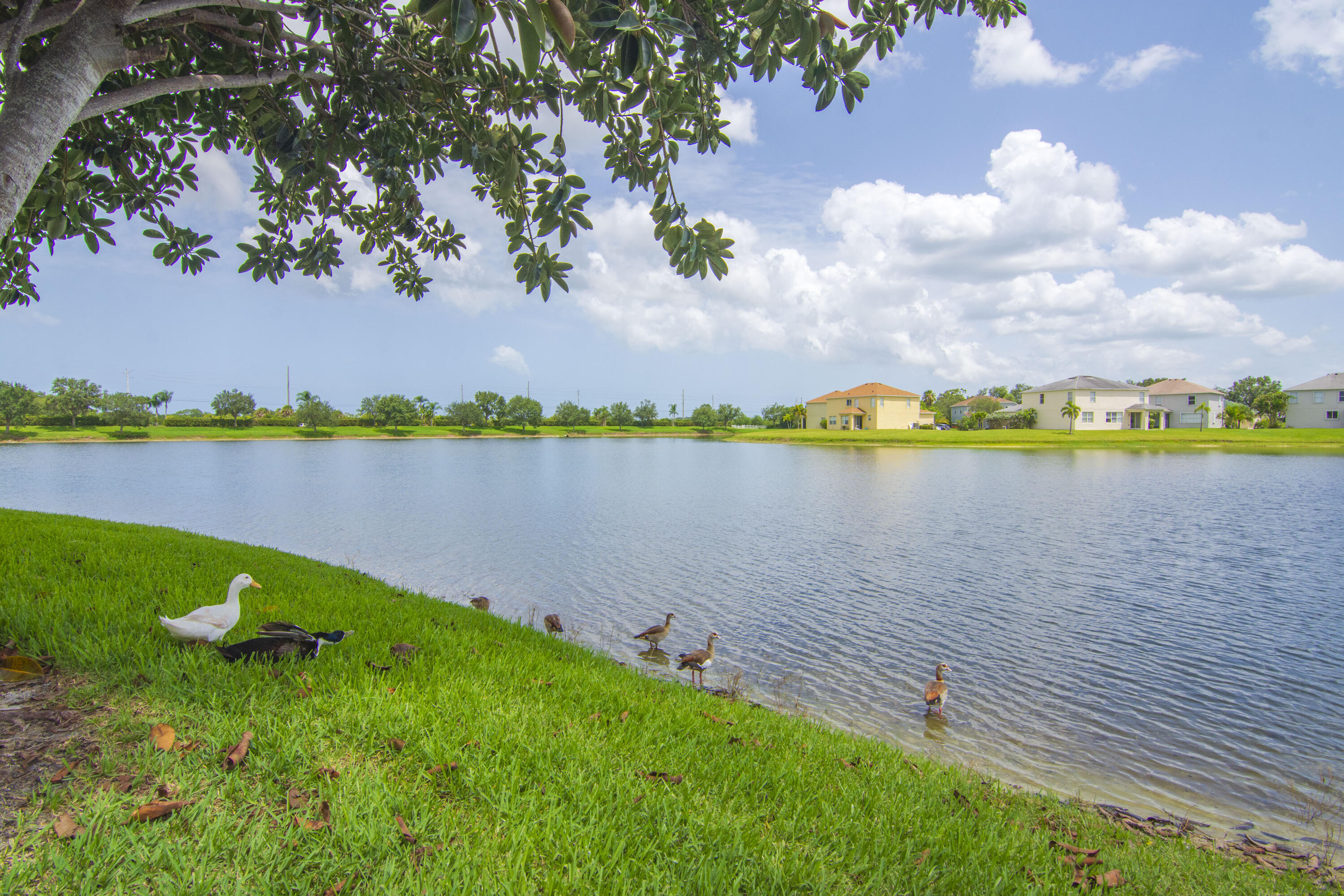 758 Carriage Lake Way