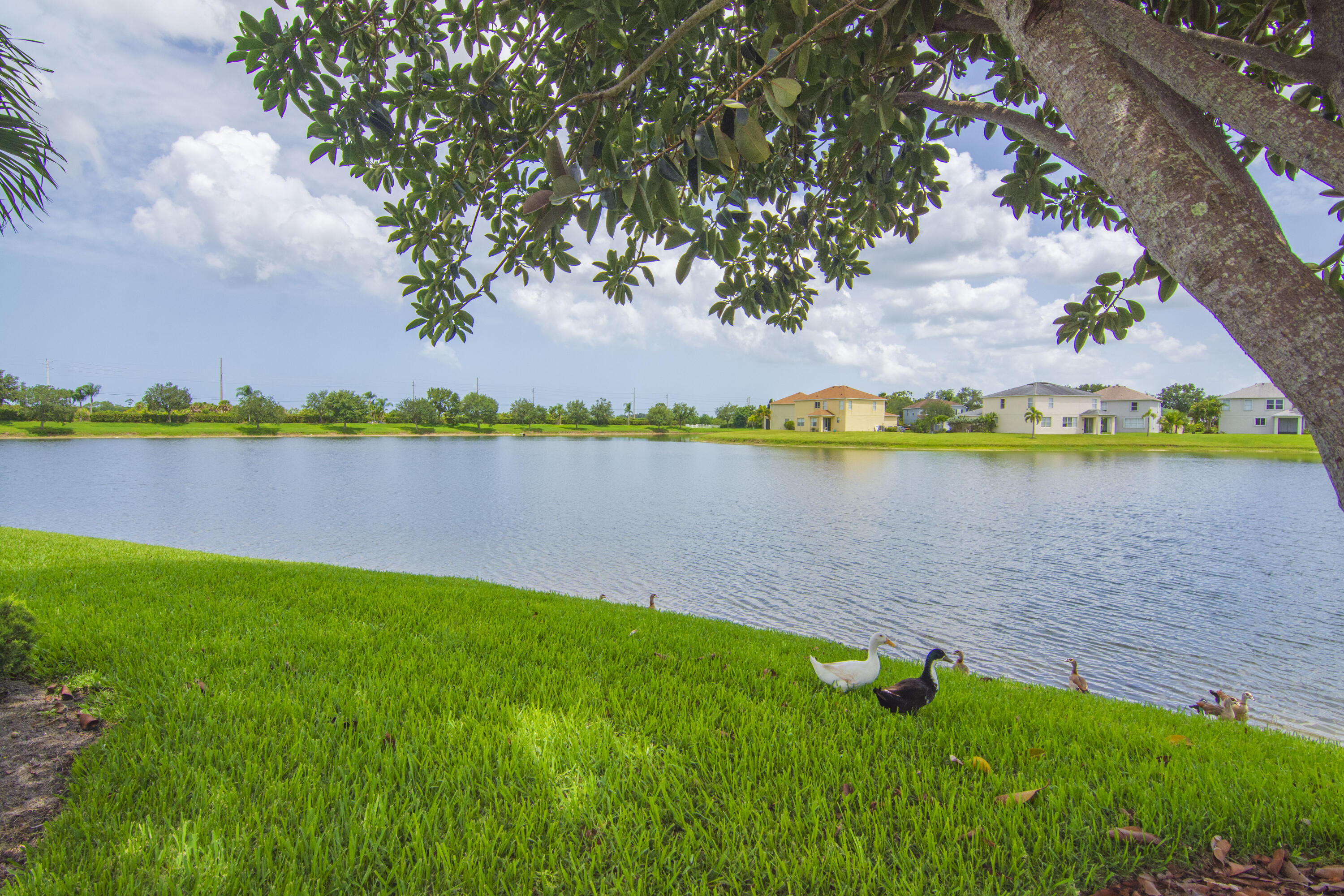 758 Carriage Lake Way