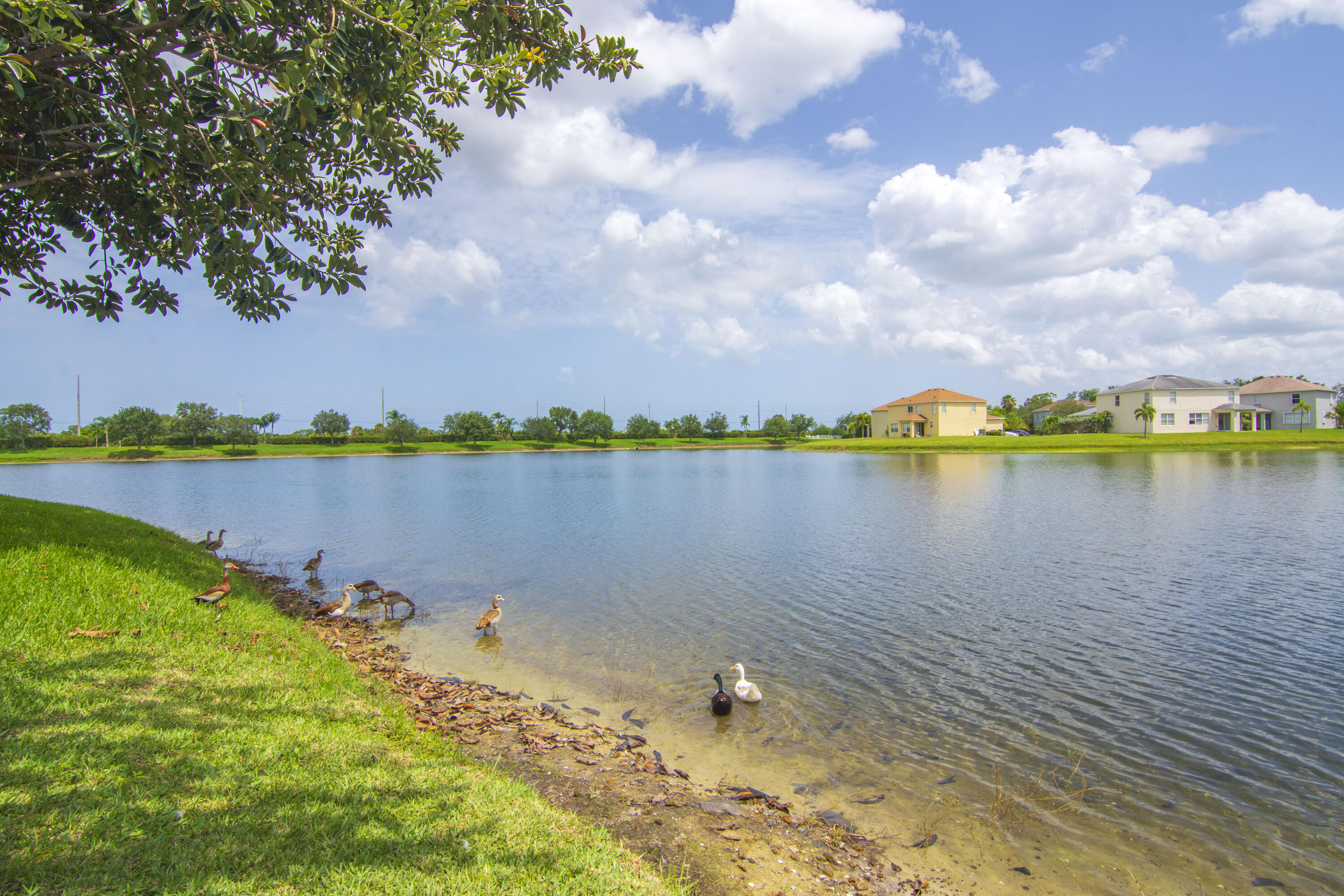 758 Carriage Lake Way