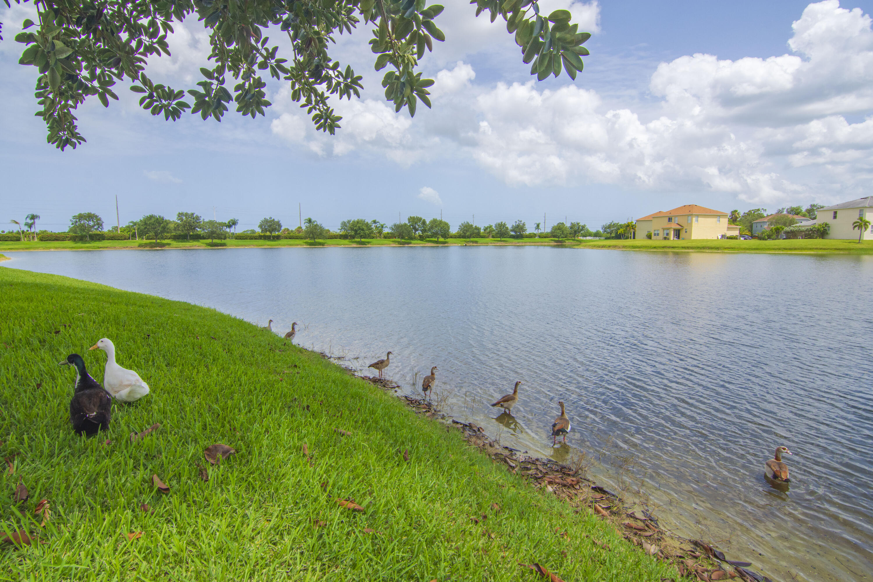 758 Carriage Lake Way