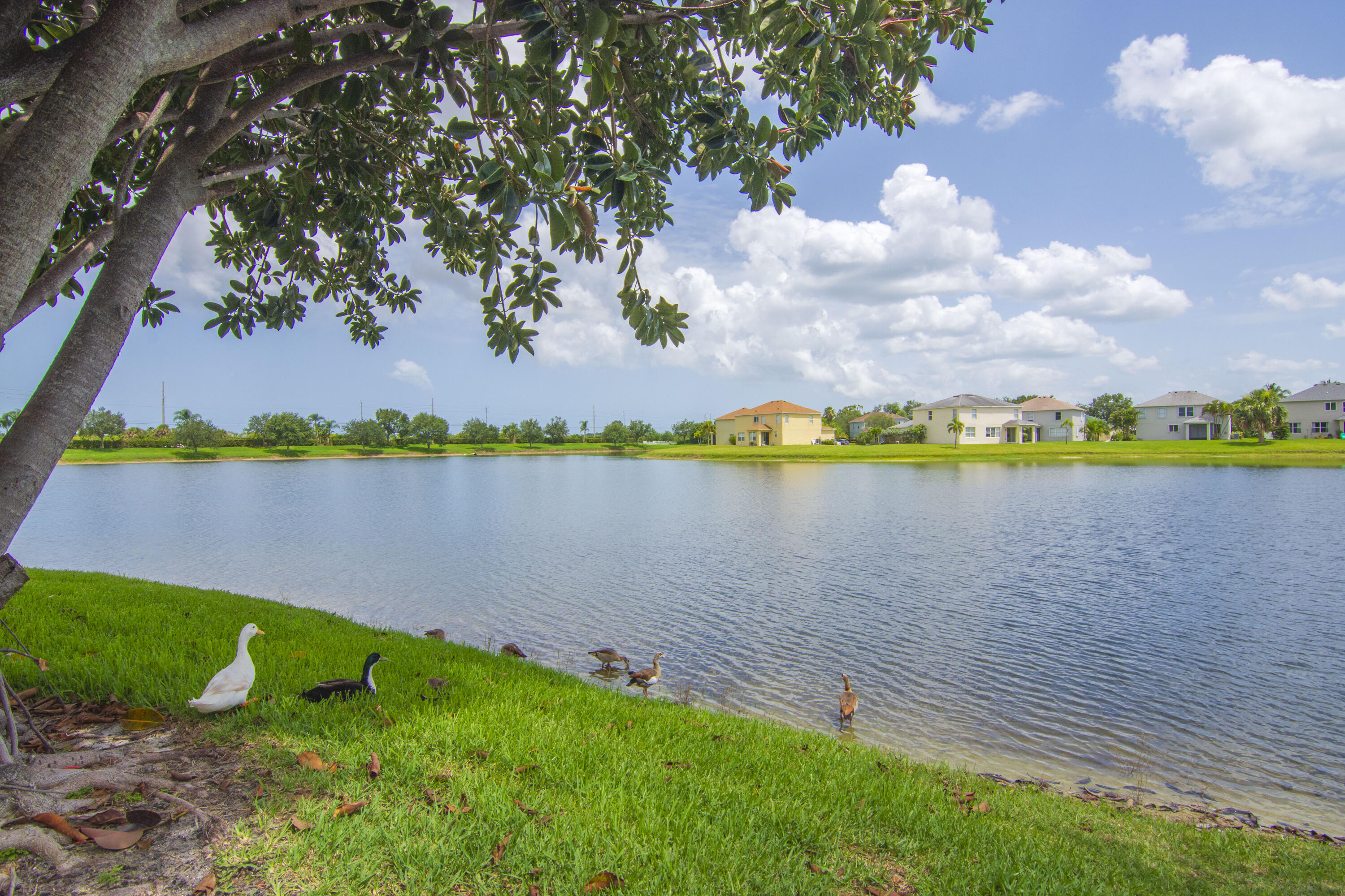 758 Carriage Lake Way