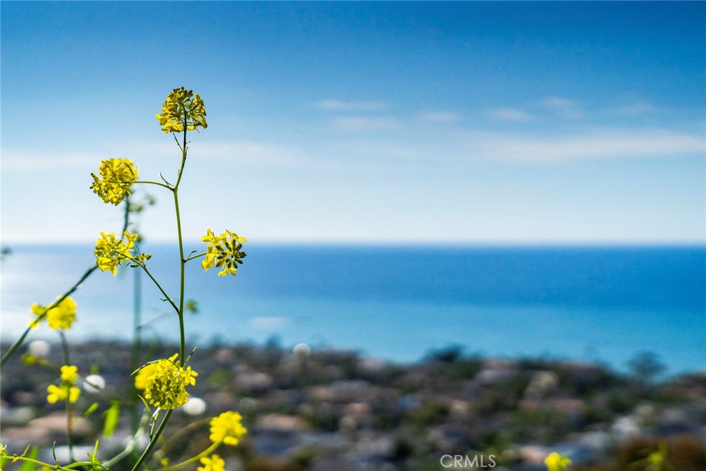 307 E Avenida Cordoba