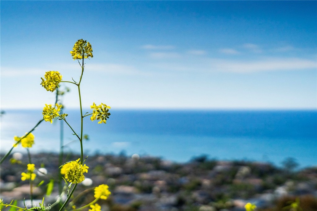 307 E Avenida Cordoba