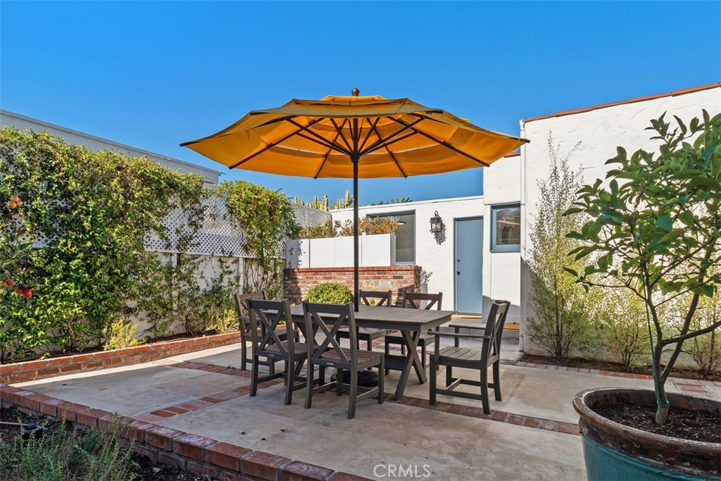 1136 Catalina