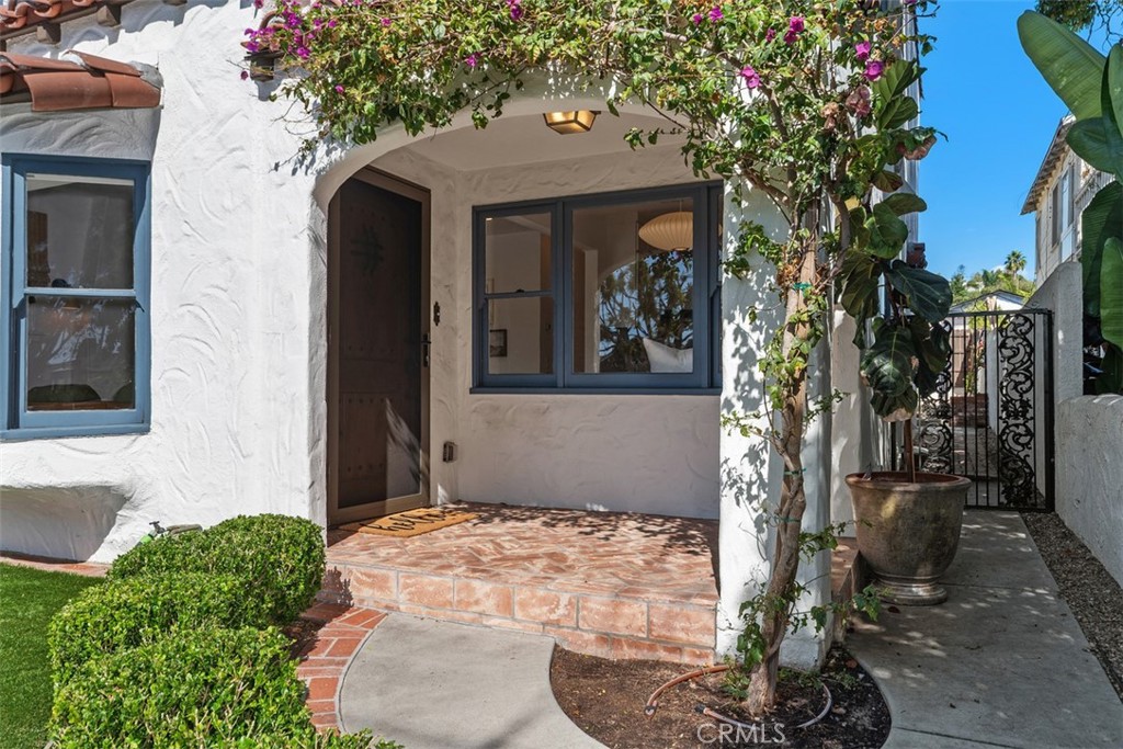 1136 Catalina