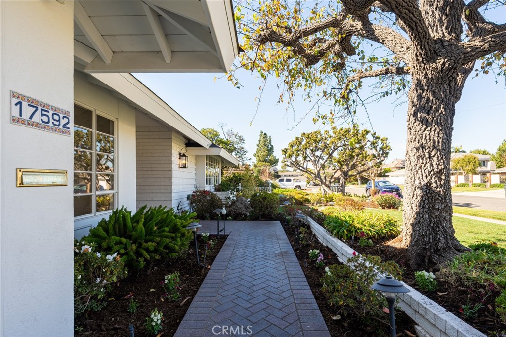 17592 Orange Tree Lane