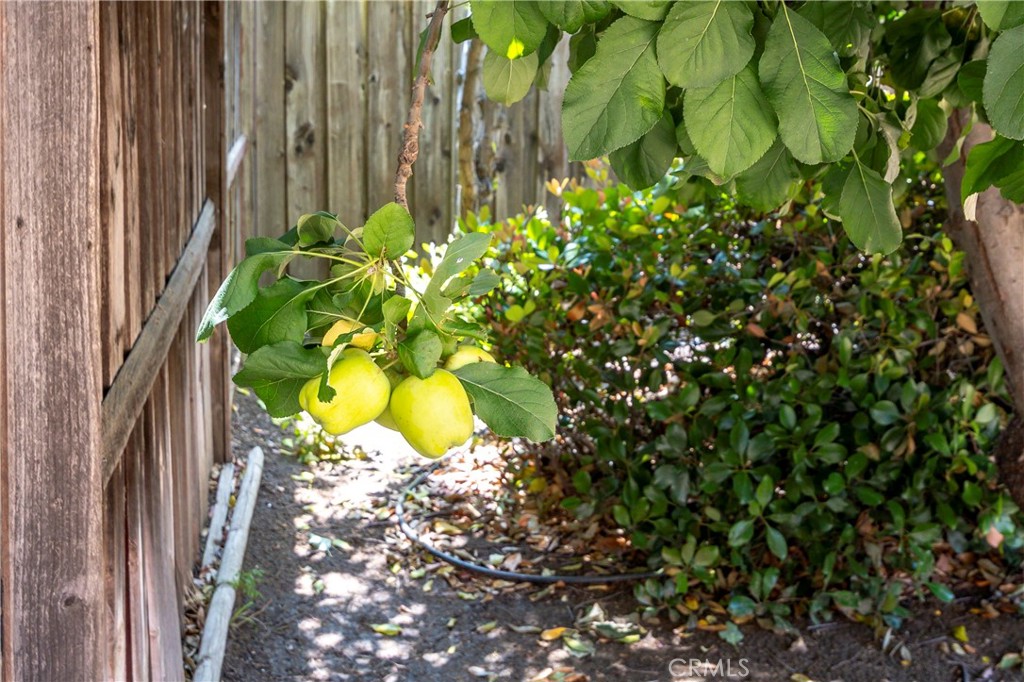 8491 Maruyama Drive